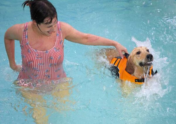 Bella getting the hang of this swimming and almost going it alone