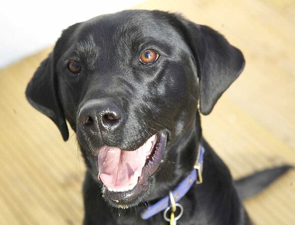 Ben With a Big Smile