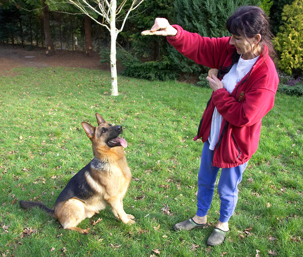 Marjorie Giving Sasha a Cookie
