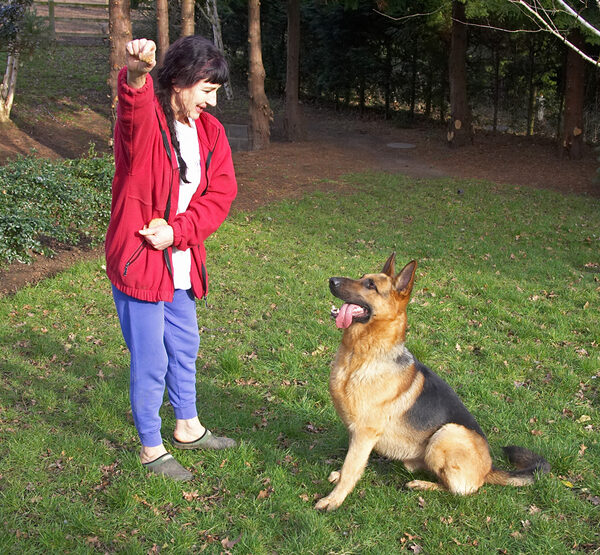 Marjorie Giving Sasha a Cookie