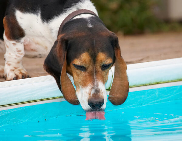 I am really, really thirsty