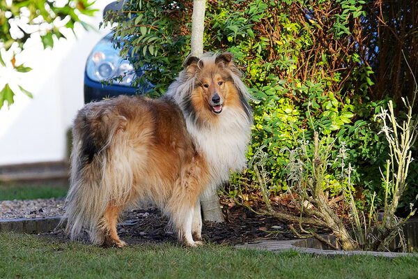 I AM not playing until you put that camera away........