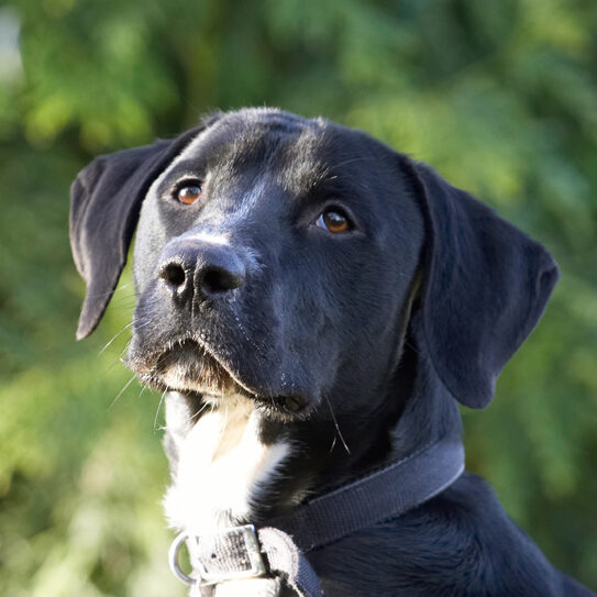 Gosh, I am one handsome dude