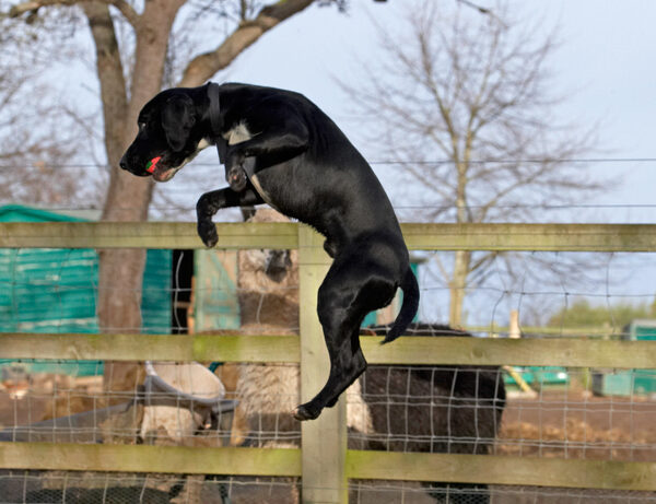 Wot a catch!!