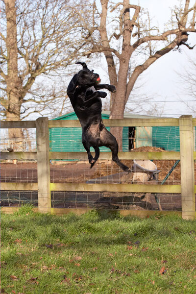 And........ another great catch