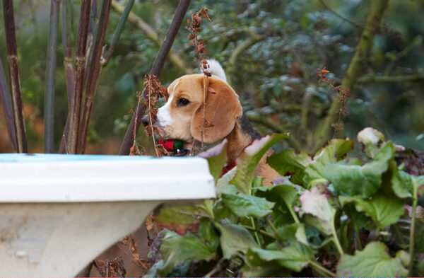 D'ya think they can see me?