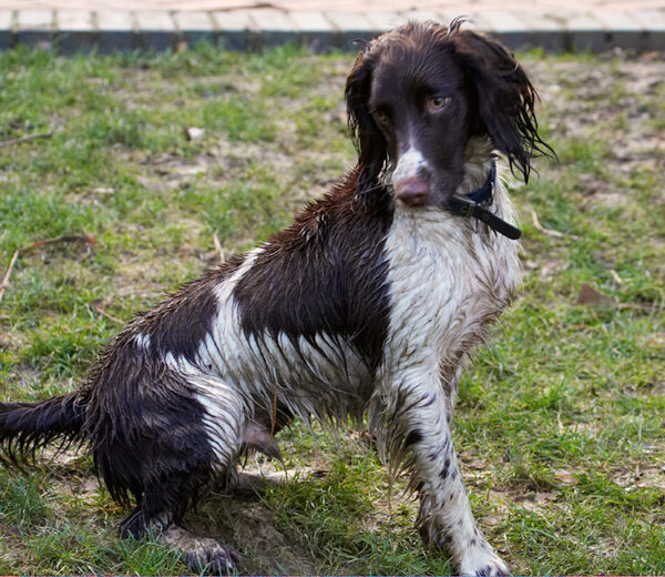 Oooh, I'm all wet