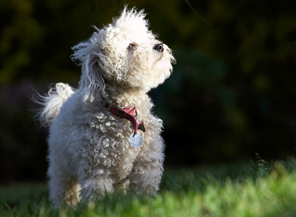 Wot's that - sunshine?!