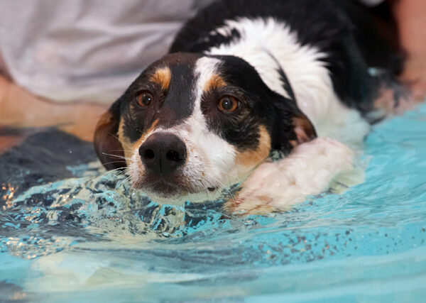 Well, I am making the water move........