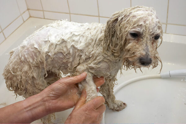 Oh, and I have to have clean tootsies too