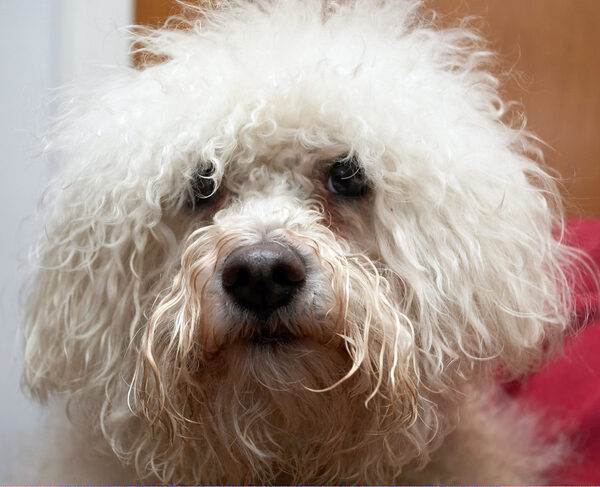 Oooh, all dry and fluffy