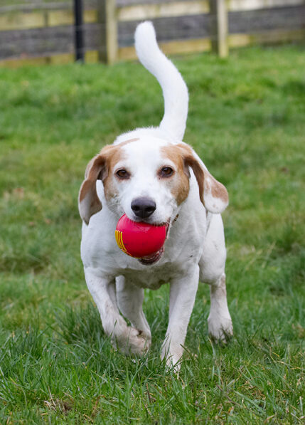 Are you ready for another throw?