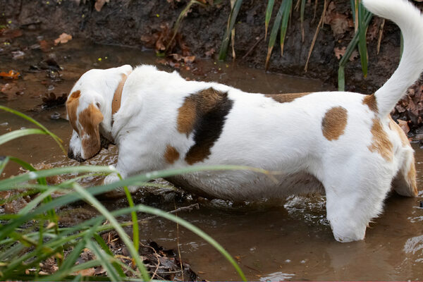 Uh oh, it keeps sinking
