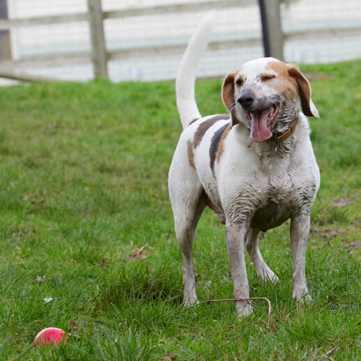 So, I need a bath! So what, I HAD fun