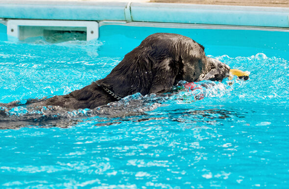 .......... yeah, gottit