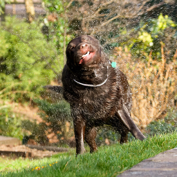 And round and round.........