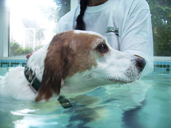 Look, I'm concentrating on staying afloat
