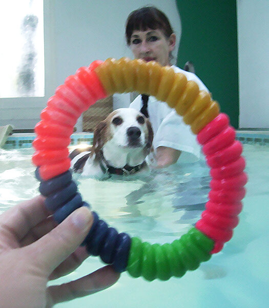 Oooh, a toy, I'll feign interest