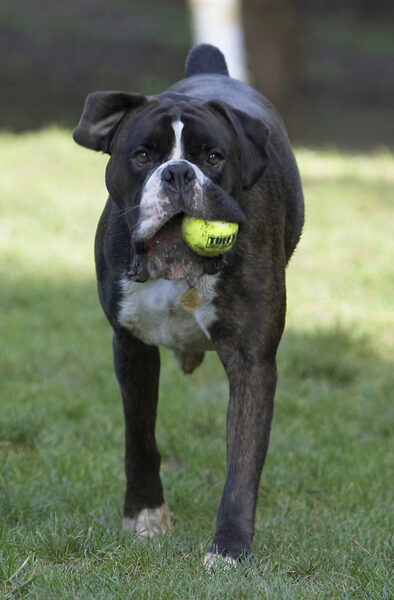 You ready to throw again?