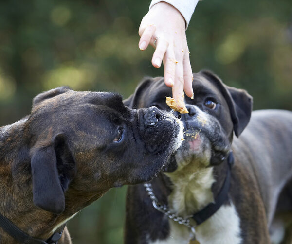 Mmmmm, that smells good