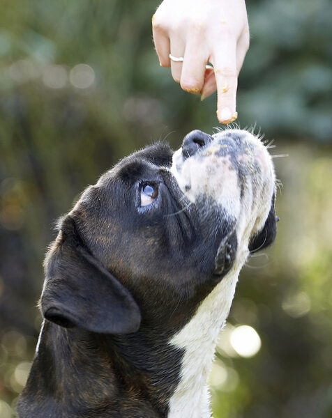 Is that for me?