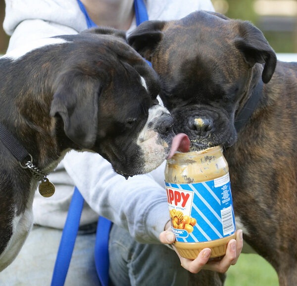 See, we can both share
