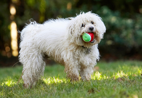 Jus' having a chew