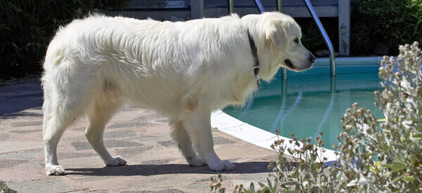 Who's that handsome guy in the pool there?
