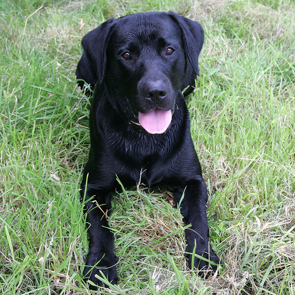 Having A Rest