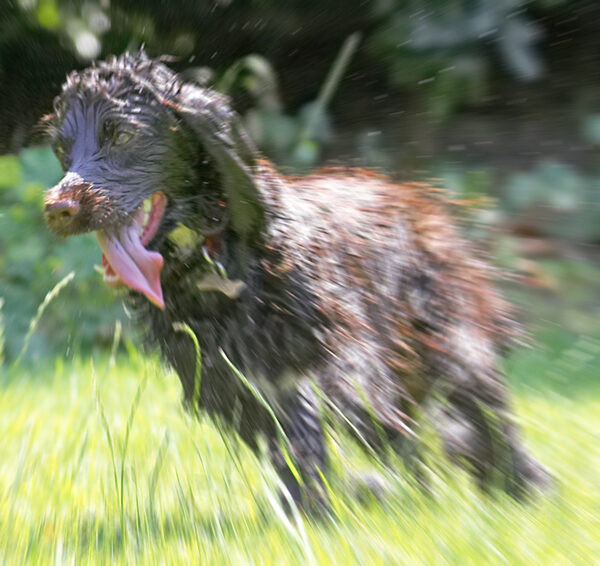 I'm so fast, I'm just a blur