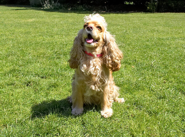 Look, mum, dad, I'm sitting on grass