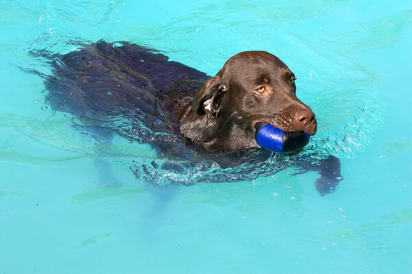 I got the ball this time