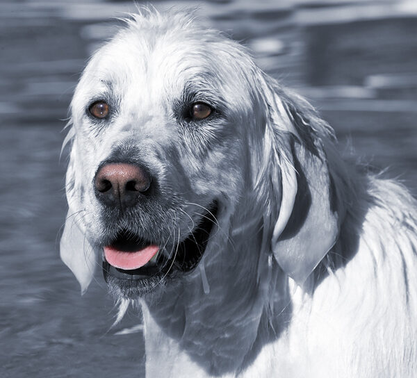 Hey, this swimming isn't so bad