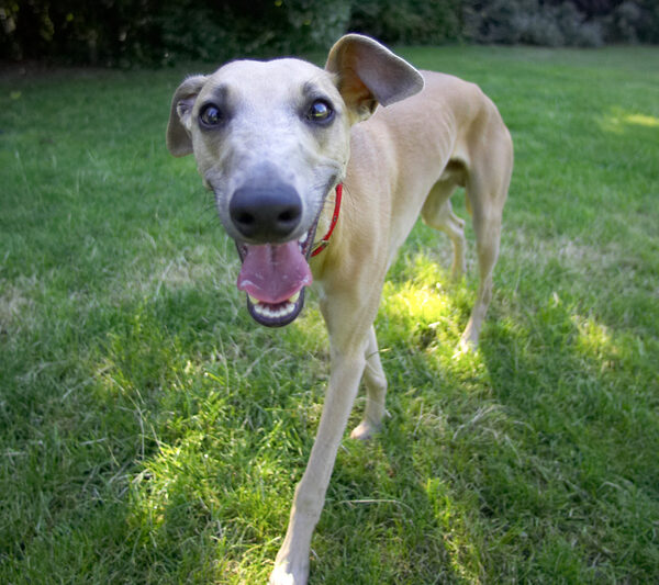 Go on, you're scared aren't you?
