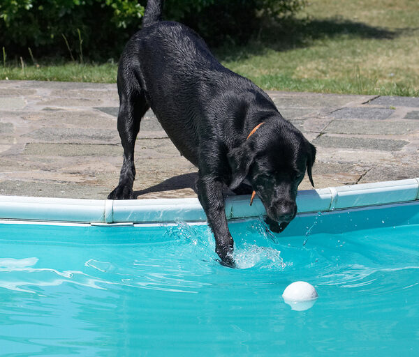 Hmm, this looks a little deeper than the fountain