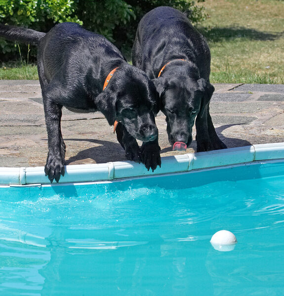 Two heads are better than one