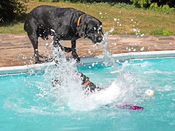 Hey, careful who you're splashing