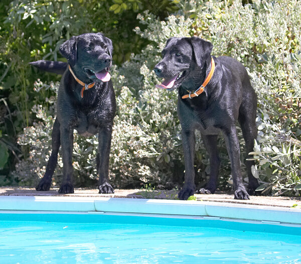 Shall we go for a swim, then?