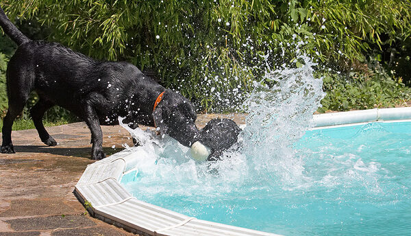 Here, I'll take the ball now