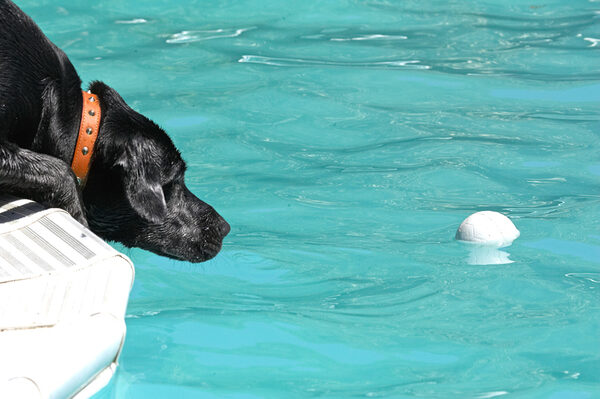 Gosh, that ball is so elusive
