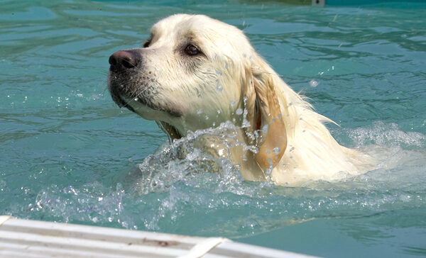 Making a splash