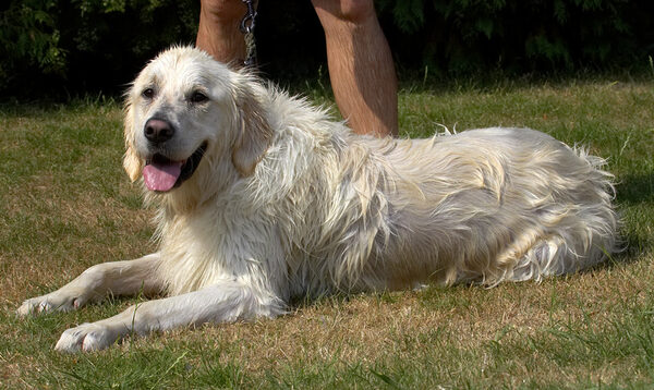 What an achievement; now I'm gonna lie on the grass and dry off