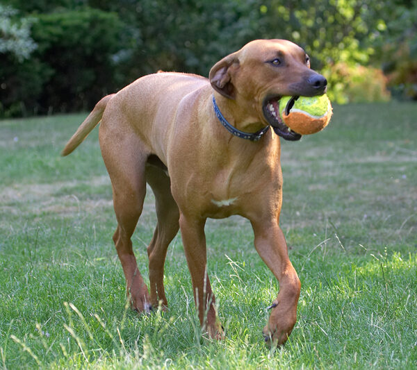Me and my ball
