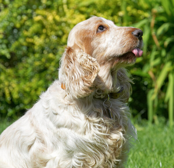 No, I'm not posing any more........
