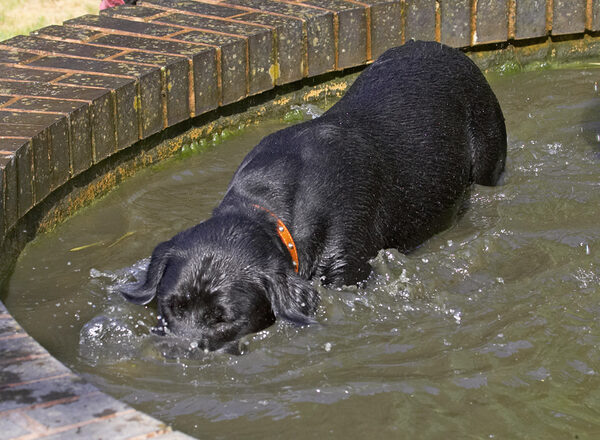 Now, where did I put the ball