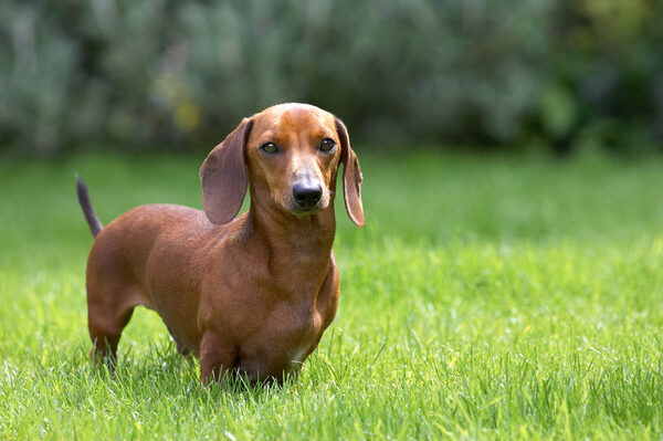 I'm glad this grass is dry at last