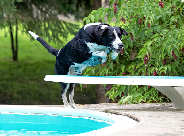 Hey look, a high jump