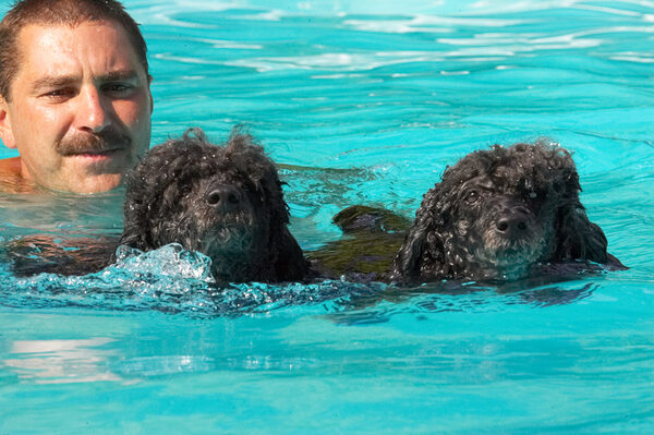Oooh, that splashed