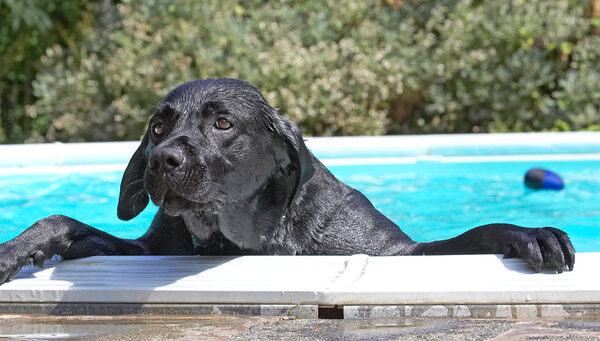 Hey, where's the pool bar