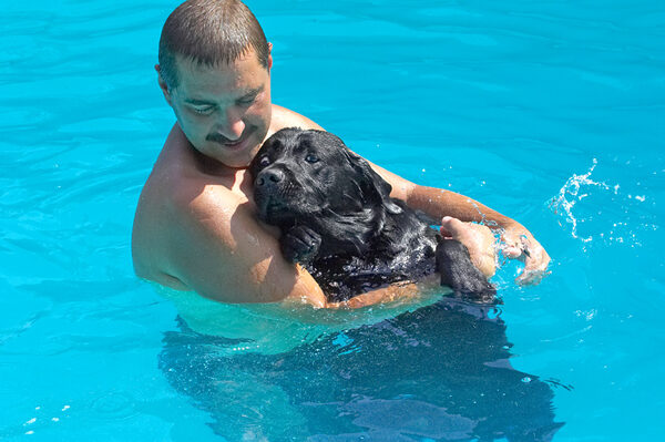I know I'm a Labrador but this is a lot of water